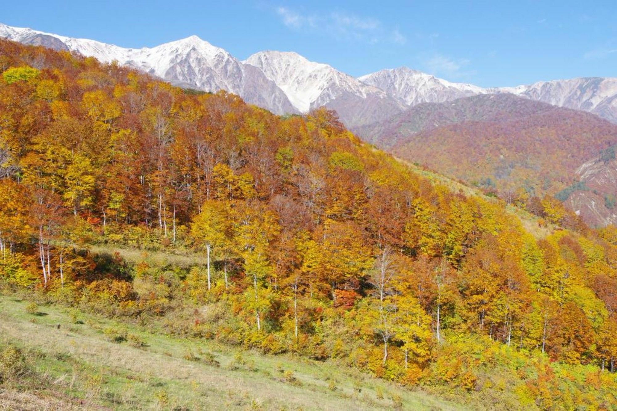 Hakuba Ski-Kan Экстерьер фото